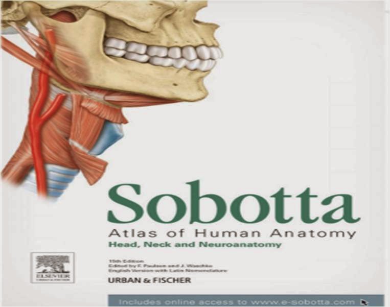 sobotta human anatomy atlas